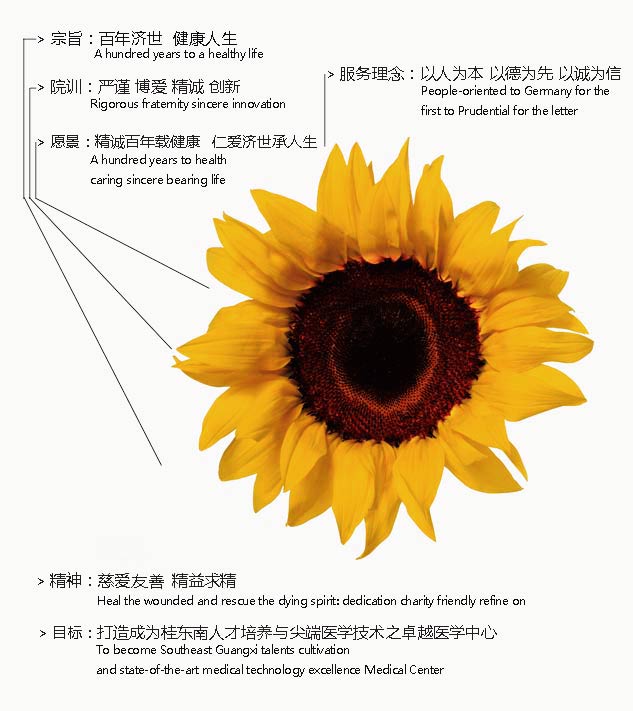 医院宗旨/院训/愿景/目标