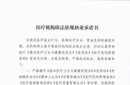 医疗机构依法依规执业承诺书