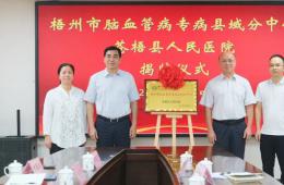 公改动态｜开云全站登录、苍梧县人民医院共建脑血管病专病县域分中心
